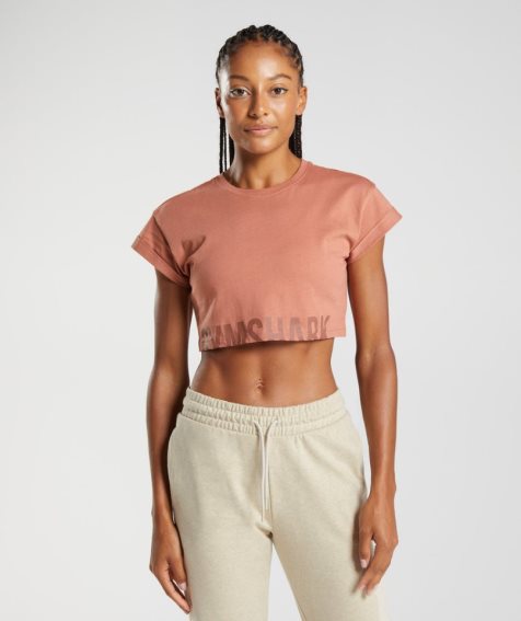 Women's Gymshark Fraction Cropped Tops Brown | NZ 0EYHLA